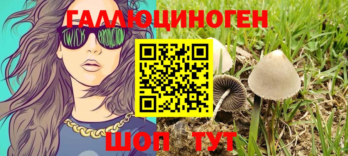 Выборг  Галлюциногенные грибы MAGIC MUSHROOMS  Вход с VPN 