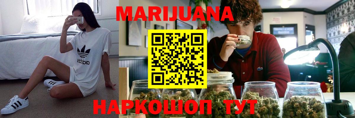 Бошки Шишки план Выборг